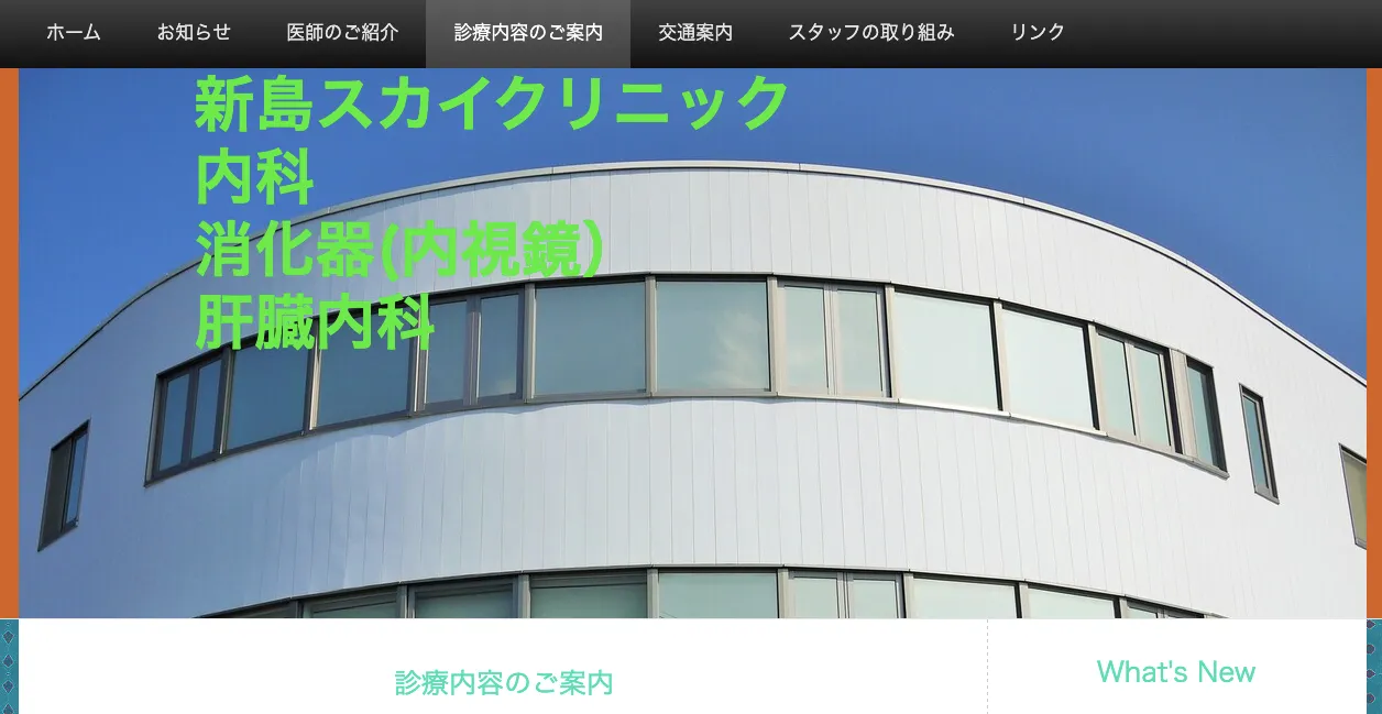 新島スカイクリニック