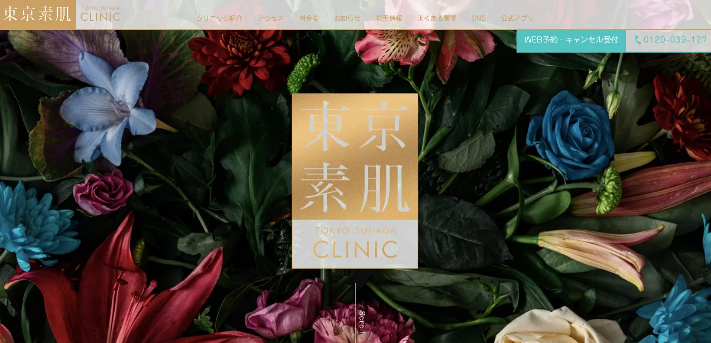 東京素肌クリニック